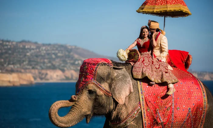 Bisht Brothers photography